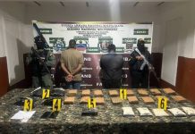 Incautan droga y detienen a dos ciudadanos en el municipio Zamora