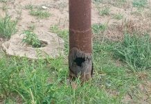 Poste a punto de caer en Santa Bárbara Bendita de Pueblo Nuevo