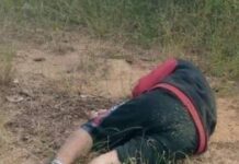 Acribillan a wayú en una zona boscosa