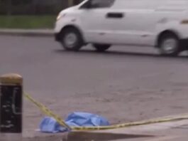 Muere delivery venezolano arrollado en Perú