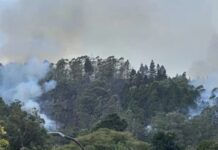 Avioneta se desploma en cerro de El Hatillo