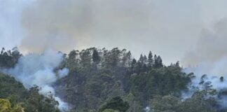 Avioneta se desploma en cerro de El Hatillo