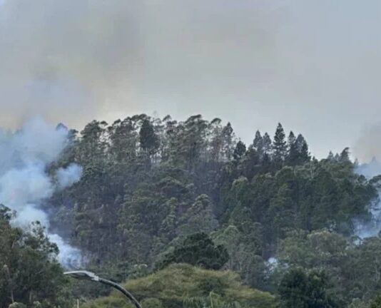 Avioneta se desploma en cerro de El Hatillo