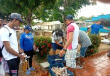 Conppa de Tacuato lleva bienestar a 80 familias