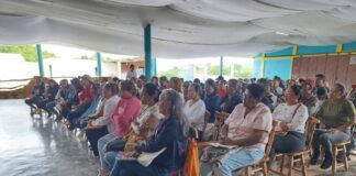 En Federación afinan estrategias para la consulta popular y para el Congreso del PSUV