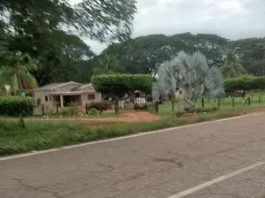 Exmilitar mató a dos trabajadores y luego se quita la vida