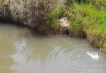 Fallece niña de un año tras caer en un pozo