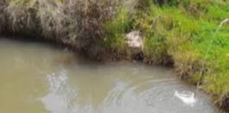 Fallece niña de un año tras caer en un pozo