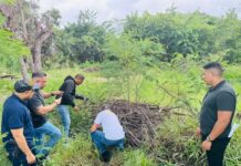 Esclarecen el homicidio del taxista Alexis Quintero