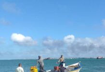 Con tres días de retraso llegaron los pescadores de Carirubana