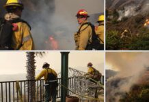 16 muertos, 13 desaparecidos y 15 mil hectáreas quemadas en Los Ángeles