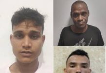 Atrapados “Jhonny Podrío” y dos compinches