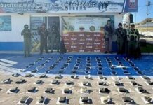 Localizan 97 panelas de marihuana en Los Roques