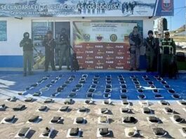 Localizan 97 panelas de marihuana en Los Roques