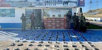 Localizan 97 panelas de marihuana en Los Roques