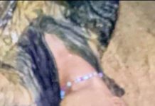 Adolescente muere arrollado en el municipio Zamora