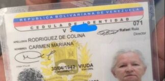 Se comió la luz y le pasaron por encima