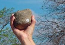 Adolescente sufrió una pedrada en la cabeza en Coro