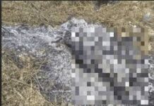 Asesinado adolescente por el primo de la novia