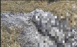 Asesinado adolescente por el primo de la novia