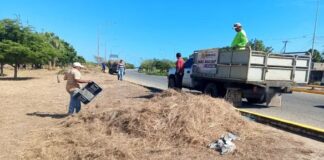 Camión pisó el pies con las ruedas a un obrero
