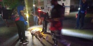 Colisión entre vehículos dejó dos lesionados la noche del martes