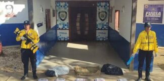 Localizan 30 panelas de cocaína en Boca de Aroa