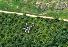 Incautan 665 kilos de cocaína