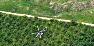 Incautan 665 kilos de cocaína