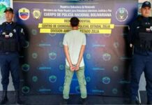 Joven mata a un gato de trece golpes