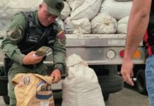 Dos hombres ocultaban 64 mil dólares en sacos de abono