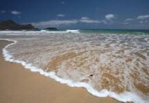 Pescador desapareció en playa de Piedras Negras