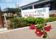 Conoce la programación con motivo a los 40 años de la siembra de Alí Primera