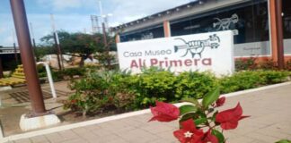 Conoce la programación con motivo a los 40 años de la siembra de Alí Primera