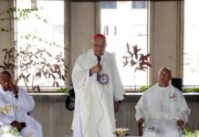 Baltazar Porras: «Ya podemos llamarlo San José Gregorio Hernández»