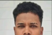 Se dedicaba a los pantallazos