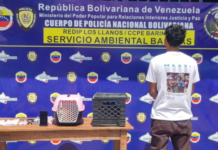 Preso falso veterinario en Barinas