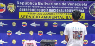 Preso falso veterinario en Barinas
