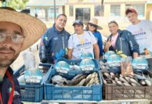 Venezuela come+ Pescado llegó a urbanización Jorge Hernández