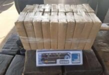 A juicio 4 funcionarios de Bolipuertos por tráfico de 20 panelas de cocaína