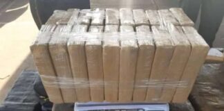 A juicio 4 funcionarios de Bolipuertos por tráfico de 20 panelas de cocaína