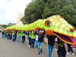 Calidad Educativa del municipio Falcón se lució en sus Carnavales Pedagógicos