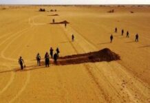 GNB destruyó seis narcopistas en Falcón