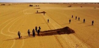 GNB destruyó seis narcopistas en Falcón