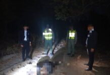 Encuentran el cadáver de joven desaparecida