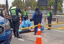 Falconiano muere arrollado en Perú