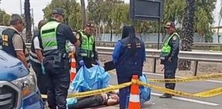 Falconiano muere arrollado en Perú