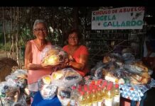 Concejales aplauden la gestión del gobierno revolucionario en el municipio Falcón