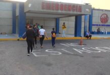 Se subió al techo para podar un árbol y se fue al piso