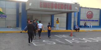 Se subió al techo para podar un árbol y se fue al piso